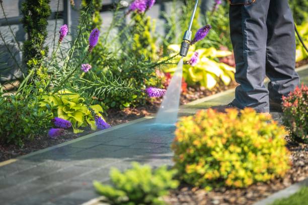 Best Fence Cleaning  in Sidney, OH